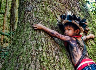 Amazzonia, il progetto degli indigeni per salvare la foresta presentato all'Onu