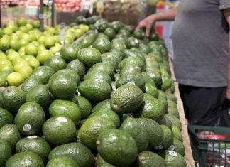 Lavare l'avocado prima di sbucciarlo. Ecco perché va sempre fatto