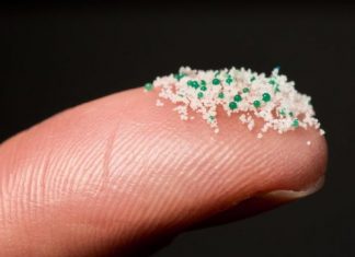 Microplastiche in cibi e bevande: ecco come ci stiamo lentamente avvelenando